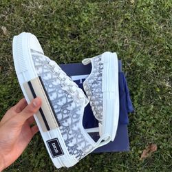 Dior B23 Low Top
