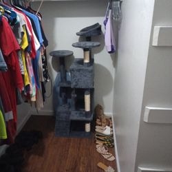 Play Area For Cats 