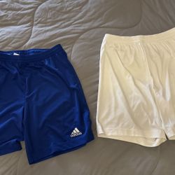 Adidas Shorts - Blue and White