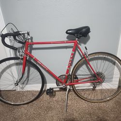 Original Fuji Road Bike 