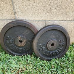 Vintage 2 Barbell 25 Lbs Weights