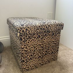 Cheetah Print Storage