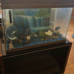 Fish Tank