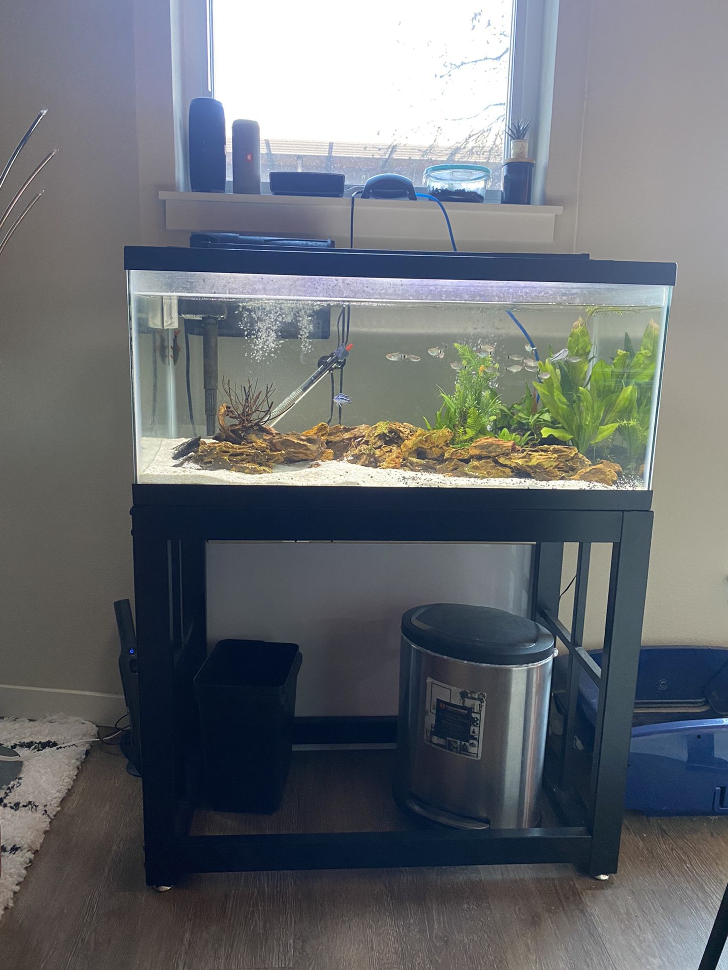 40G Aquarium setup