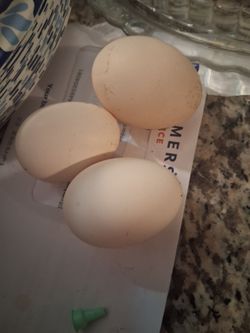 Venta de huevos de casa. $6. La docena
