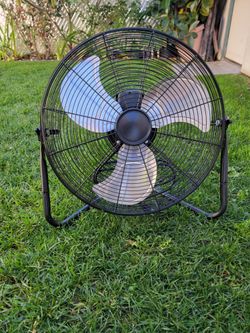 Fan