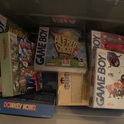 Rare Nintendo Gameboy Games 