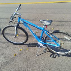  Like New Small Diamondback W! Mountain Bike