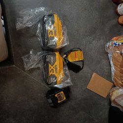 Two Brand New DeWalt XR 10 AH Batteries 