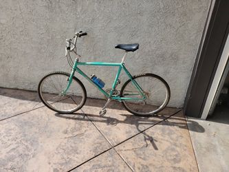 Trail Bike