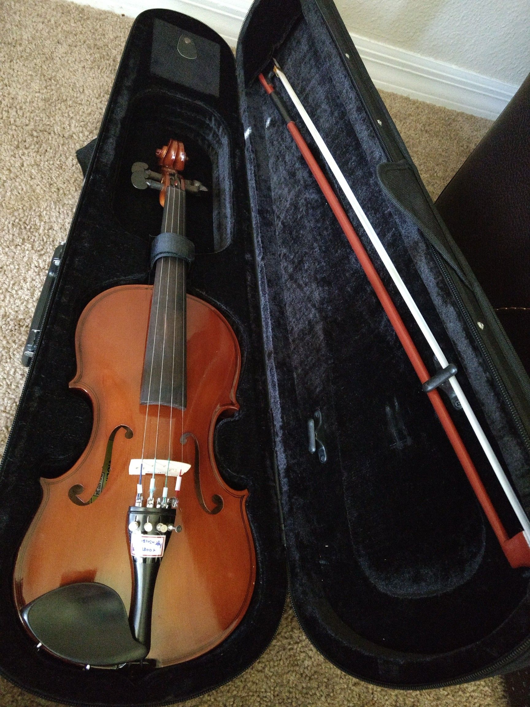 Slovakiya Musical Violin