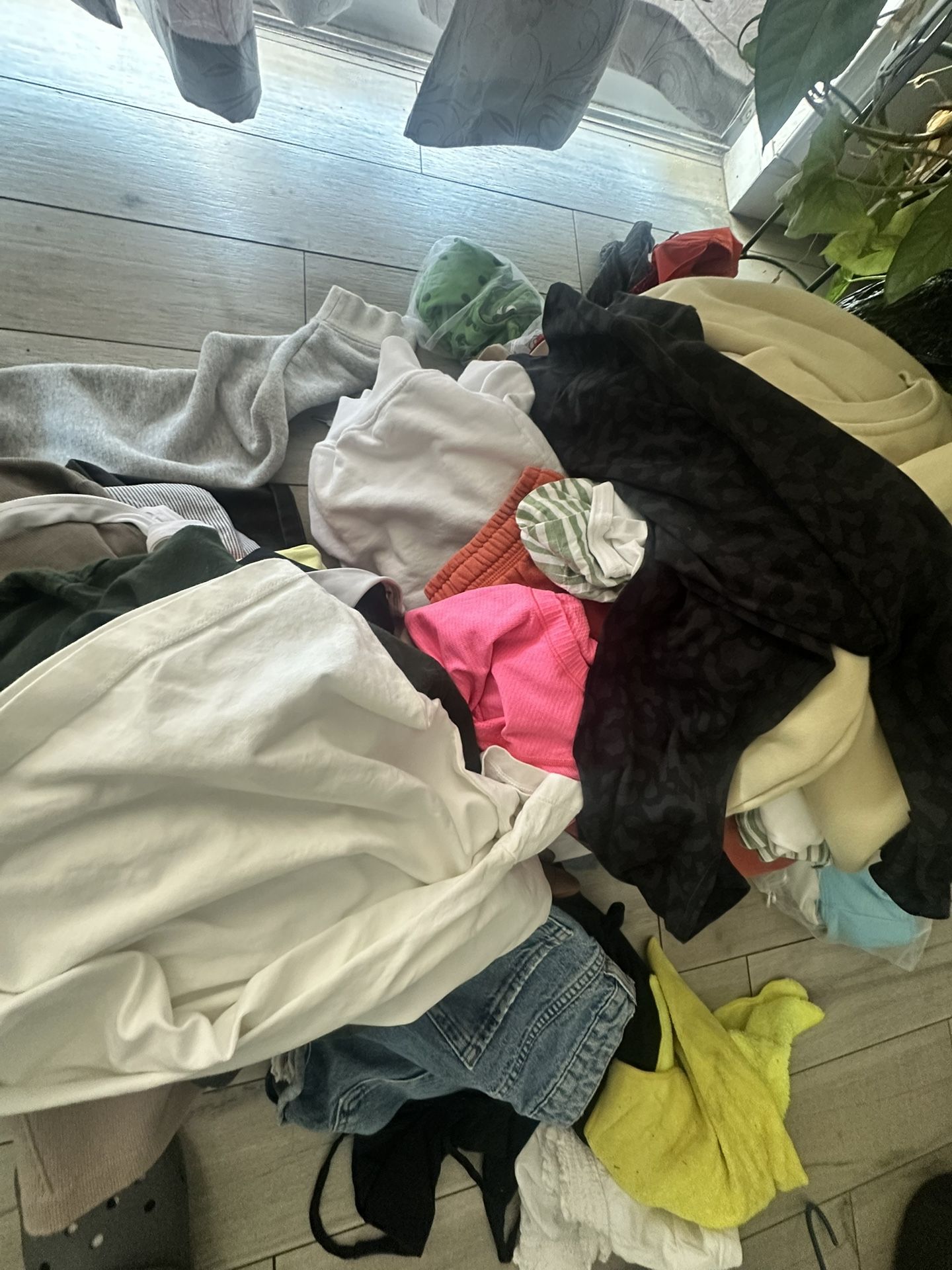 Name Brand Clothes