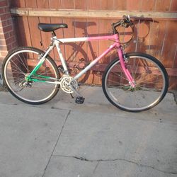 RD Coyote Mountain Bike - 21 Speed