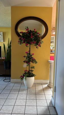 Planta