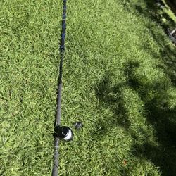 Phenix Black Diamond w/ Torium20HG 