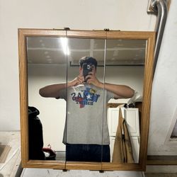 Restroom Cabinet Mirror 