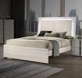 Furniture of America - Horten Queen Bed Frame in White Wash ( Bed Frame Only )