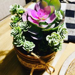 Decorative Succulent with vase