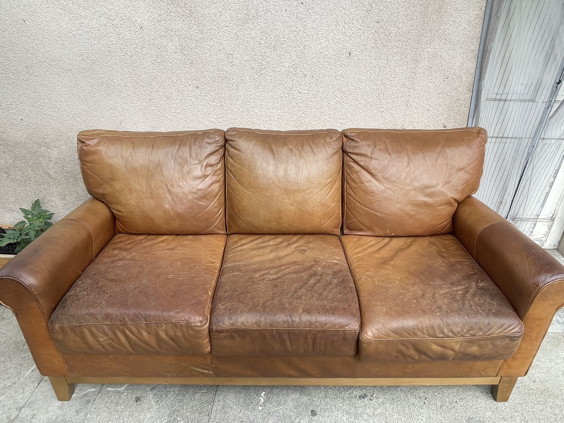 Leather Sofa