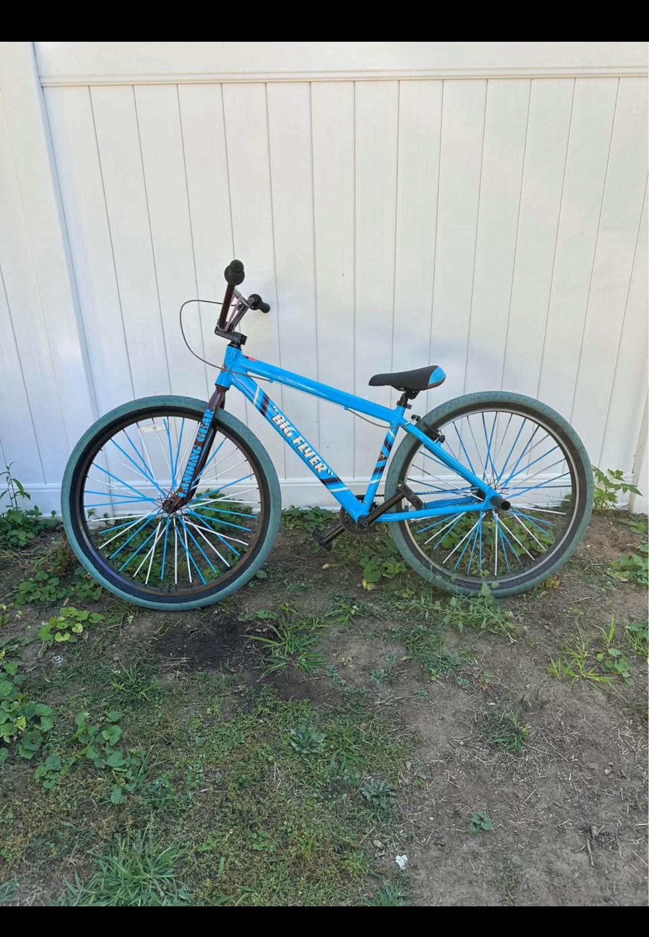 Big flyer SE Bike