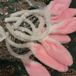 4 Bunny Eats For Halloween Costume