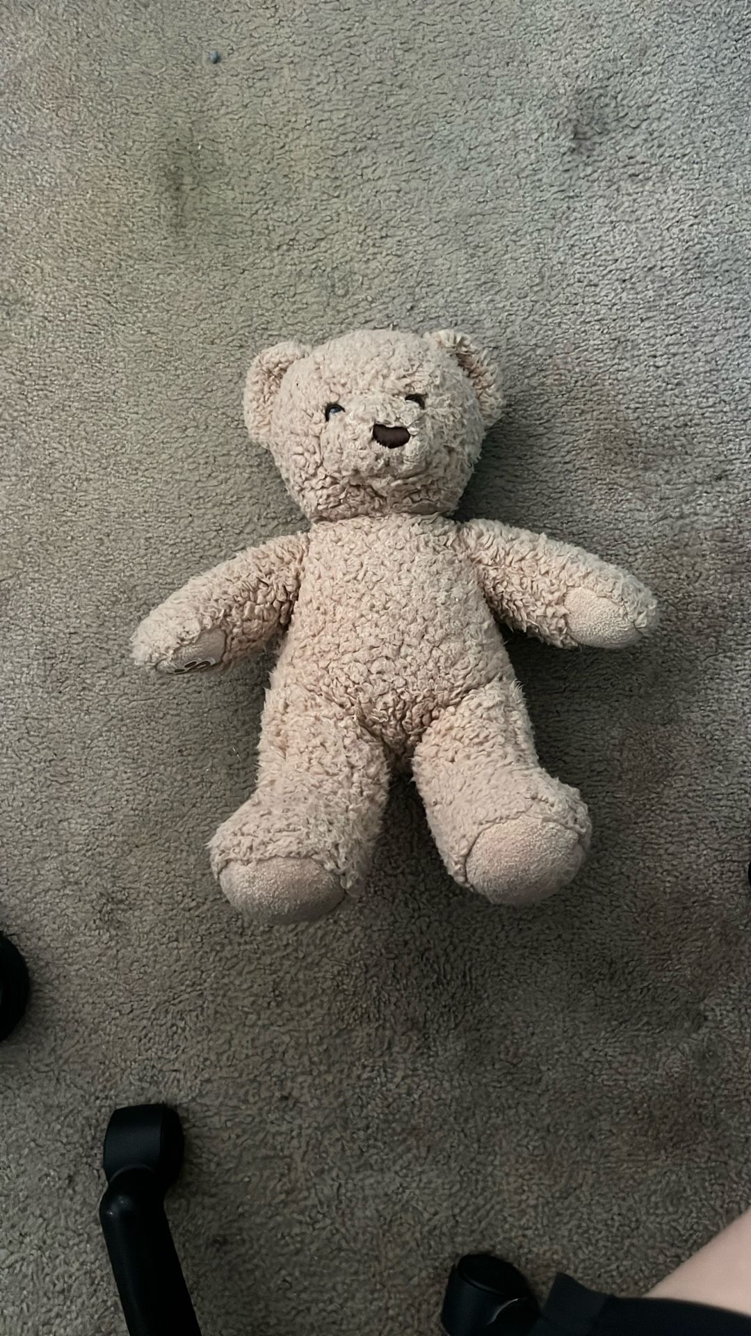 Teddy bear (From Build A Bear)