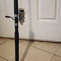 Daiwa Fishing Pole With Reel 8ft 12-25lb Good Striper Pole 