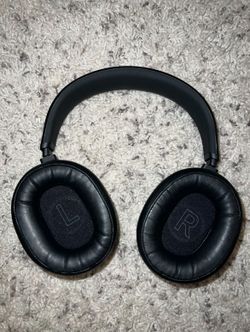 Drop Panda Headphones