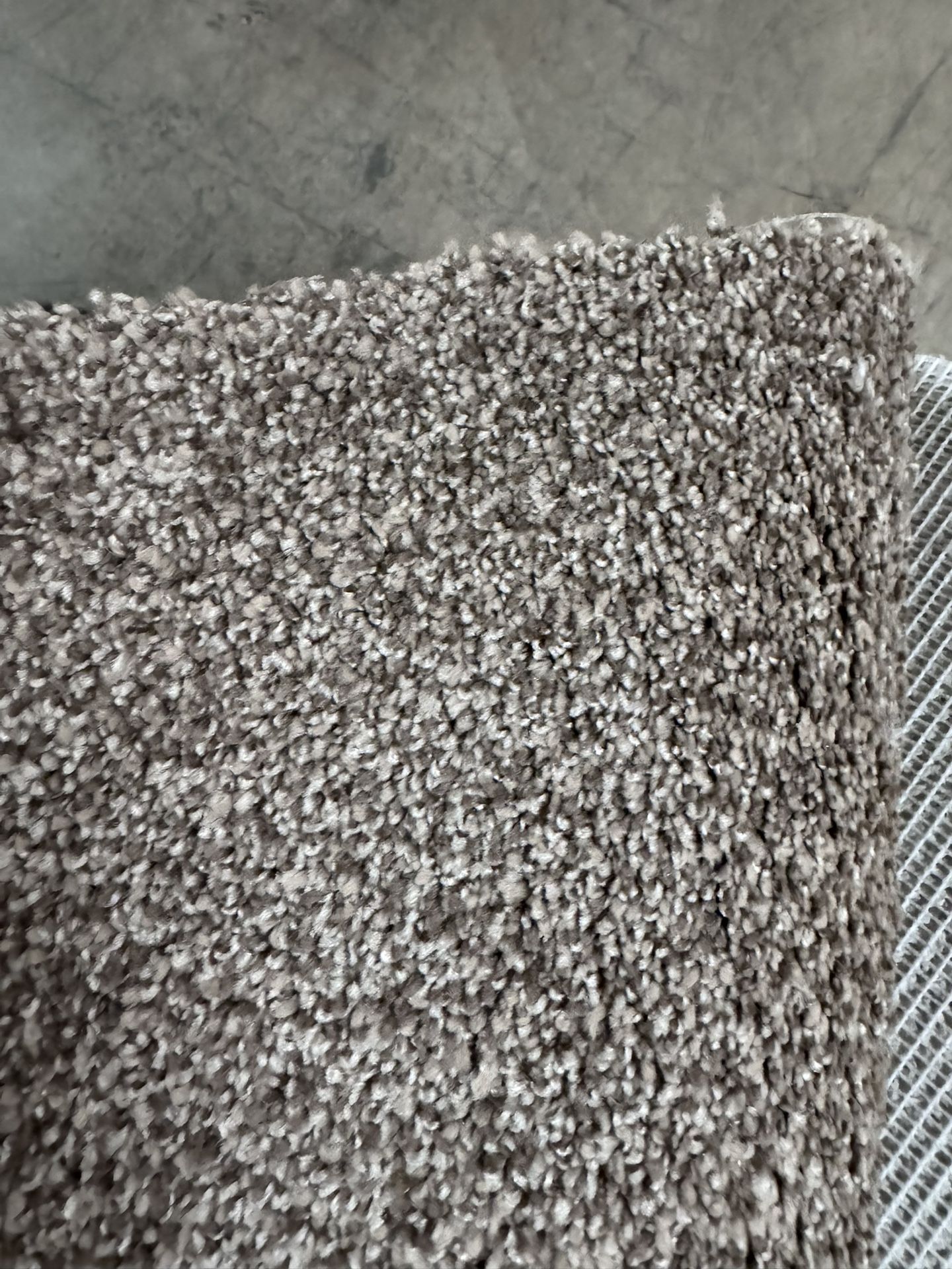 Brand New Carpet