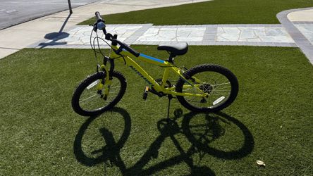 Nishiki Kids Mountain Bike