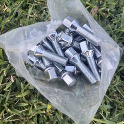 Silver BMW Lug Bolts
