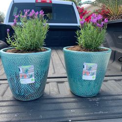 Ceramic Flower Pots (2 Planters For $25)