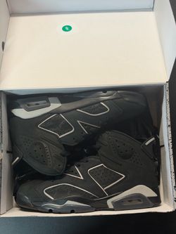 DS Jordan 6 size 11