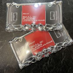 Pilot Automotive WL263-C Chrome Skull and Flame License Plate Frame
