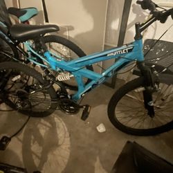 Gauntlet Bike For Teens