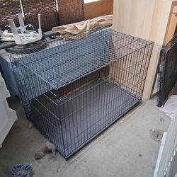 Dog 🐕 cage