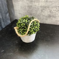 Cement Style Case With Faux Greenery 