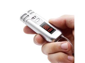 Portable Wireless FM Handheld Condenser Microphone Mic with Neck Strap for Tour Guide, Salesman, Teacher, Host, Speaker, and Karaoke (Silver)
