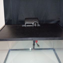 10 Gallon Fish Tank With Filter