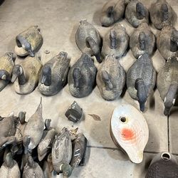 Duck And Goose Decoys 