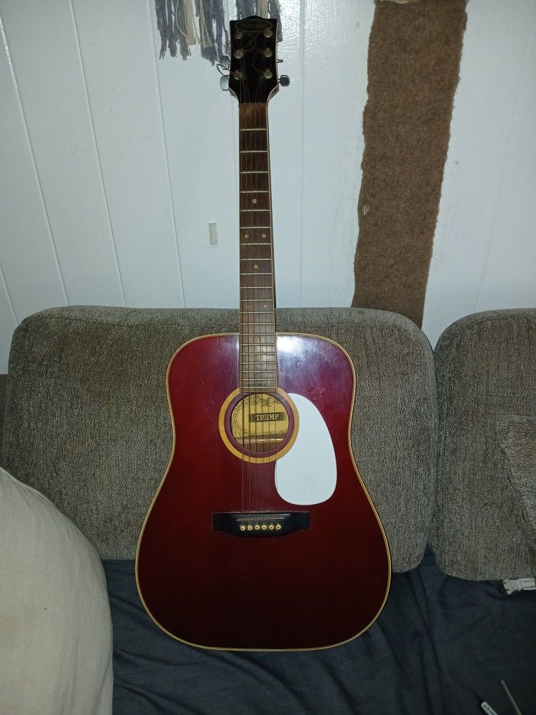 Trump Acoustic Guitar