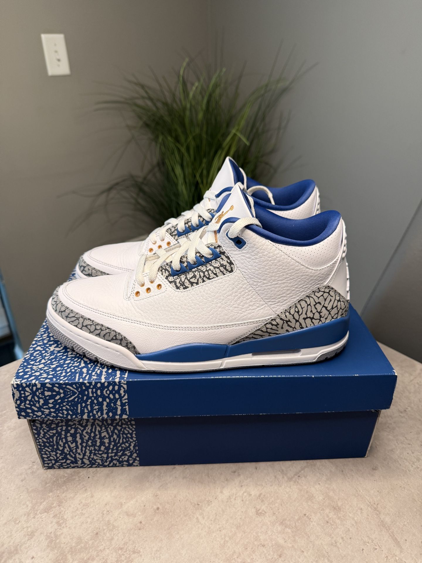 Jordan 3 (Wizards) Size 11