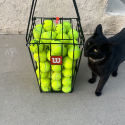 Tennis Ball Racket with Extra Tennis Balls 