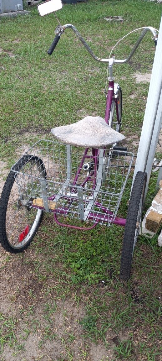 Vintage Miami Sun Three wheel Bike 24 In Wheels All Original! for Sale