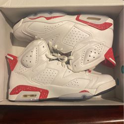 Air Jordan 6