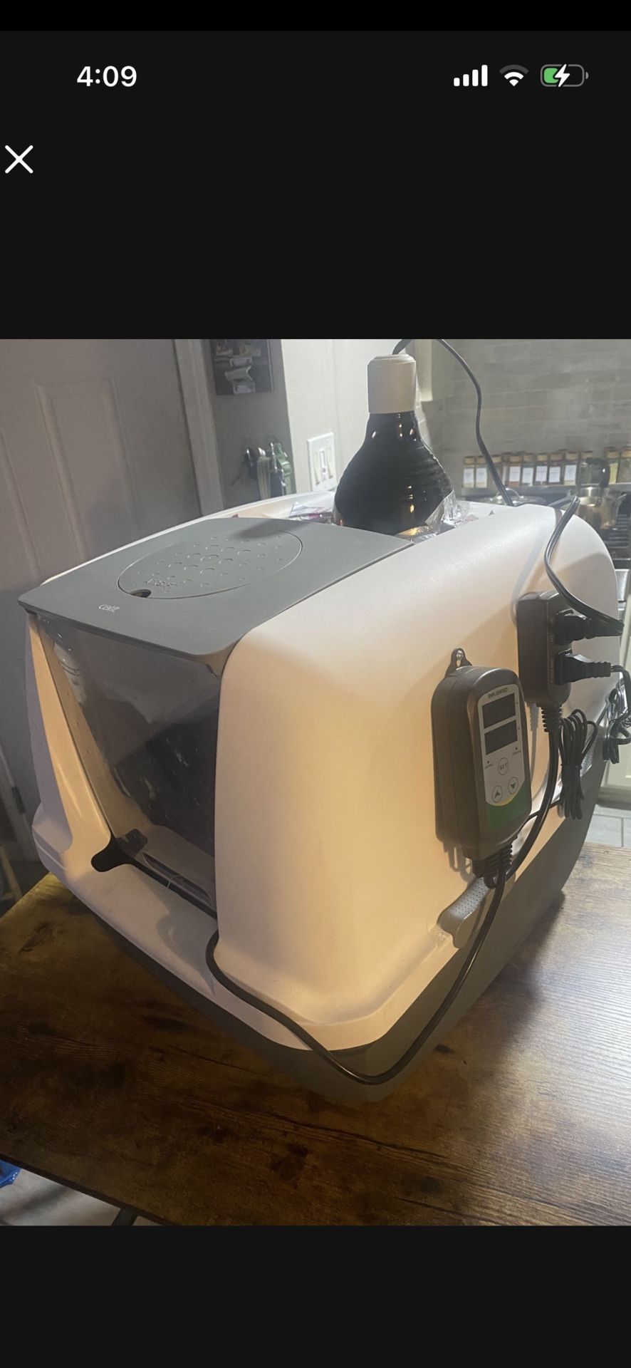 Incubator For Puppies