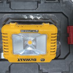 Dewalt Light