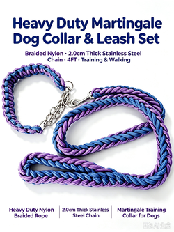 Heavy Duty Martingale Dog Collar & 4FT Leash Set, Braided Nylon with 2.0cm Thick Stainless Steel Chain, for Dog Training & Walking