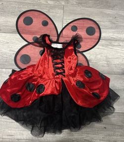 Fairy Dust Lady Bug Costume