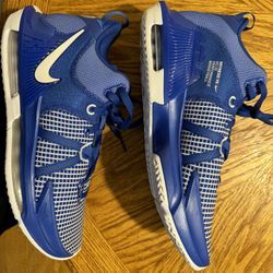 LEBRON WITNESS VII TB Size 12